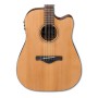 IBANEZ AW65ECE